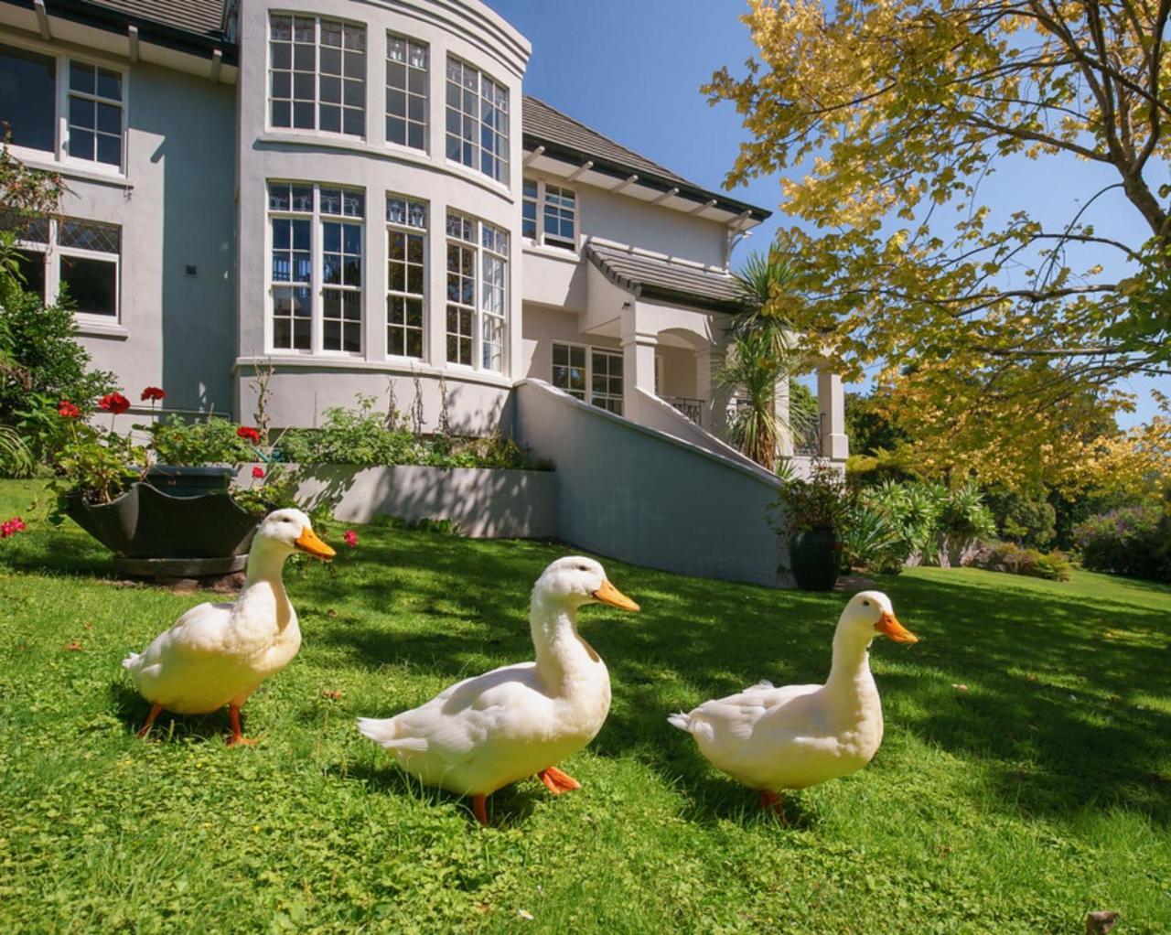 Greenmantle Estate Hotel Paraparaumu Extérieur photo