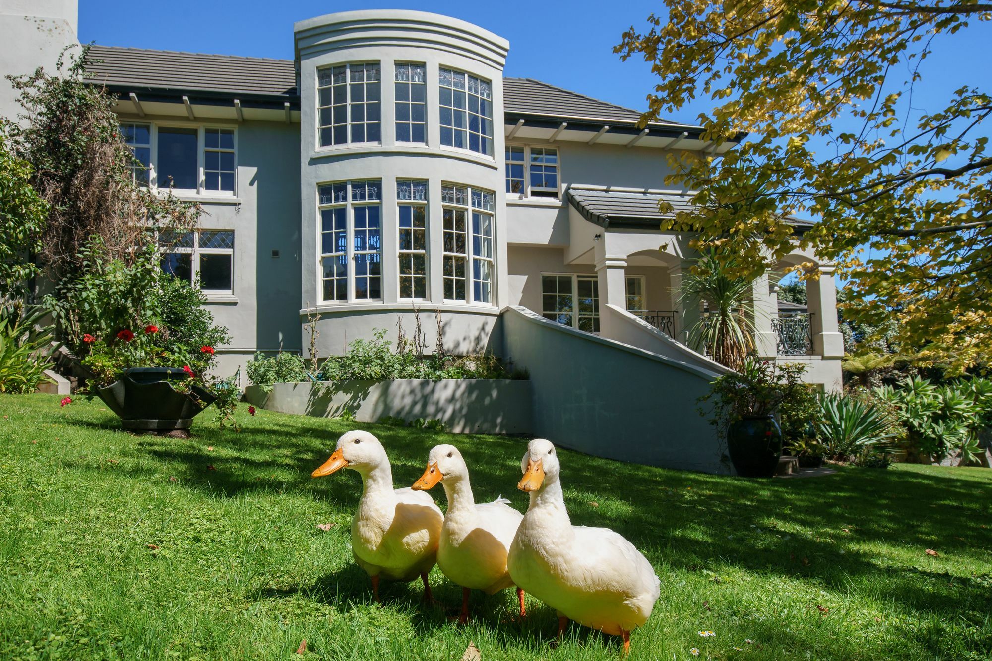 Greenmantle Estate Hotel Paraparaumu Extérieur photo